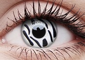 Zebra Zebra
